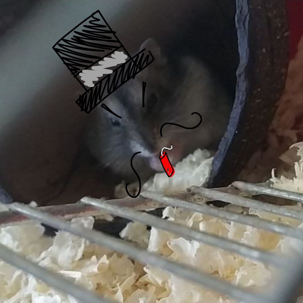 Фісташка фото 1