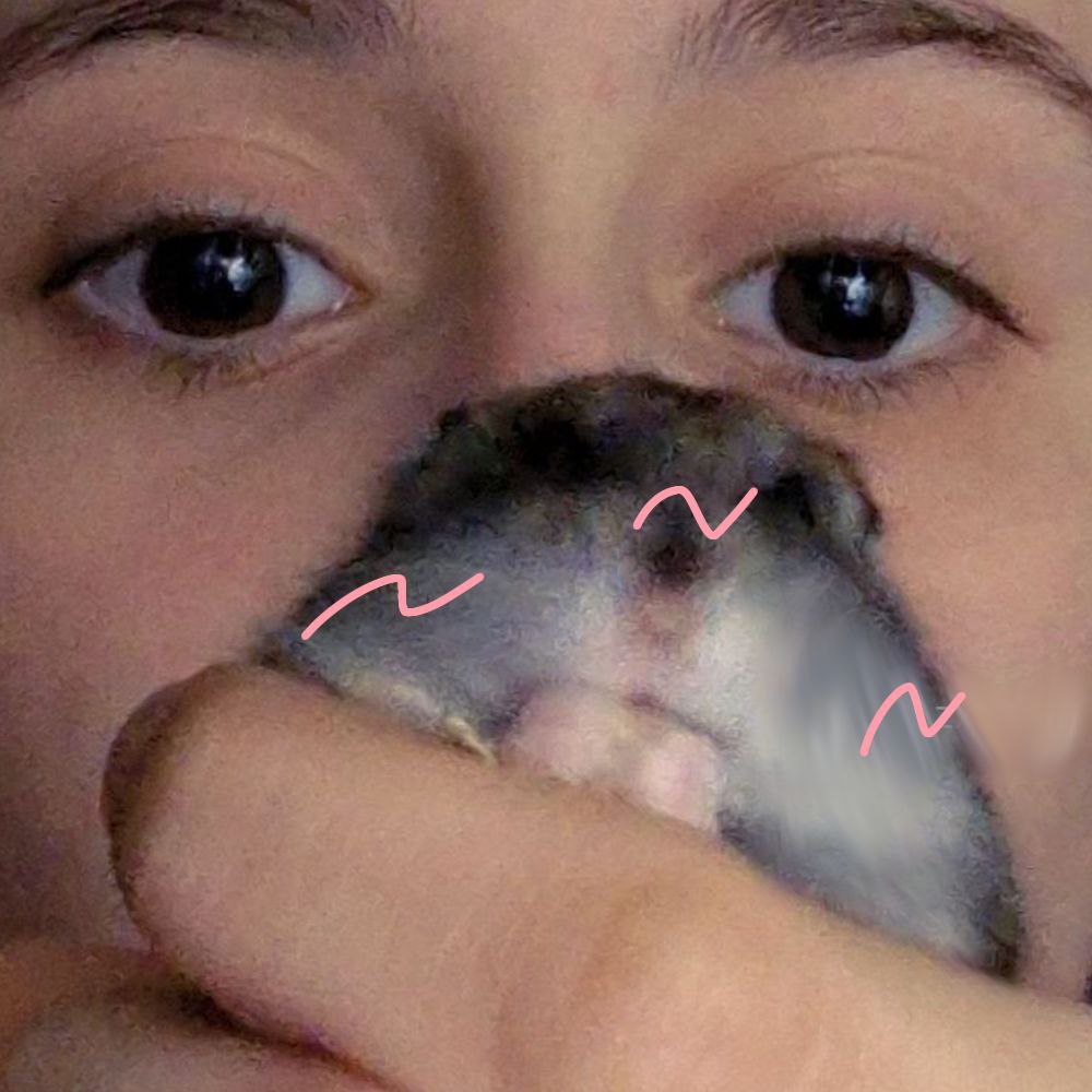 Фісташка фото 2